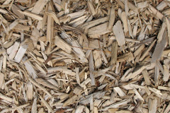 biomass boilers Darracott